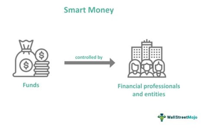 What is smart money and dumb money?