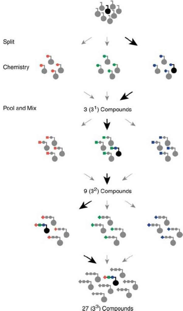 What is split pool synthesis?