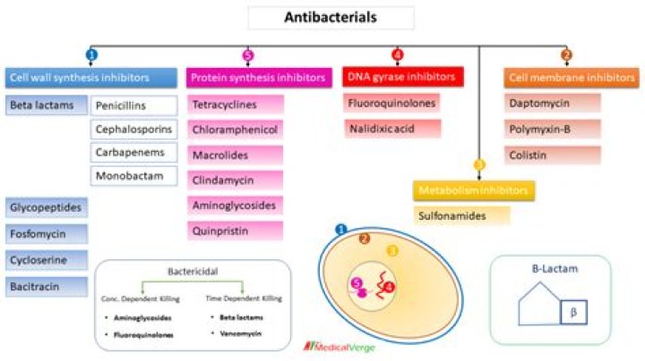 What is the antibacterial cycle on a dishwasher?