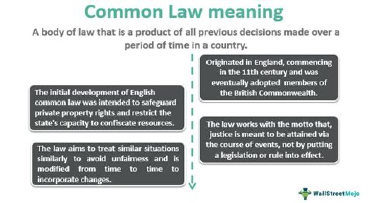 What is the basis of common law quizlet?