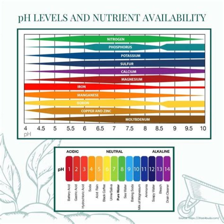 What is the best pH for a garden?