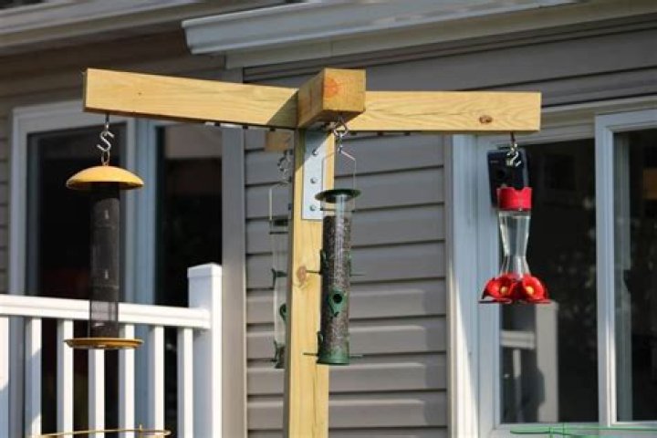 What is the best place to put a bird feeder?