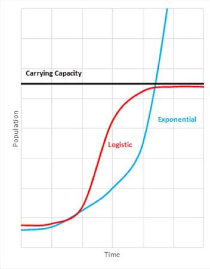 What is the carrying capacity of a graph?
