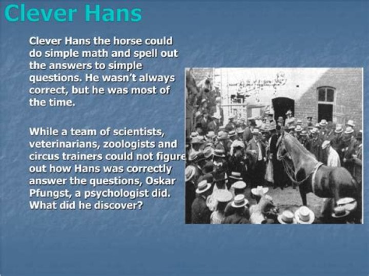 What is the Clever Hans effect?