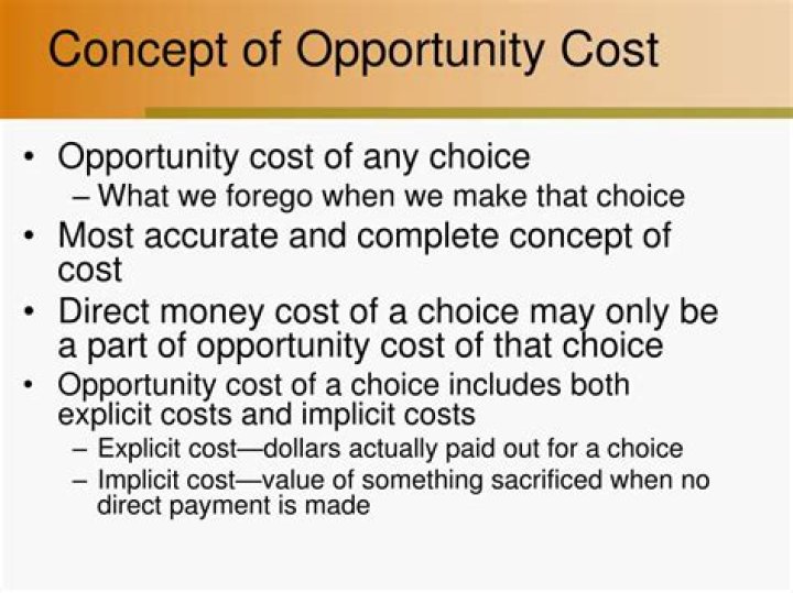 What is the concept of opportunity cost in economics?