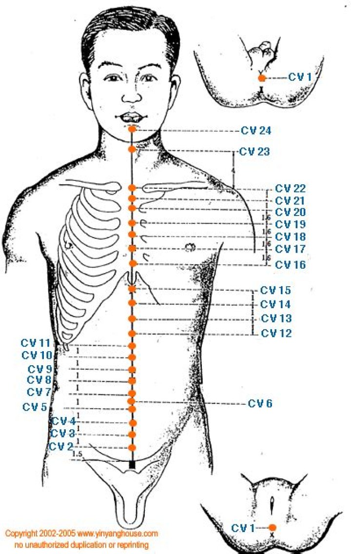 What is the conception Meridian?