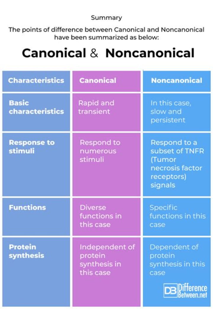 What is the difference between Canon and canonization?