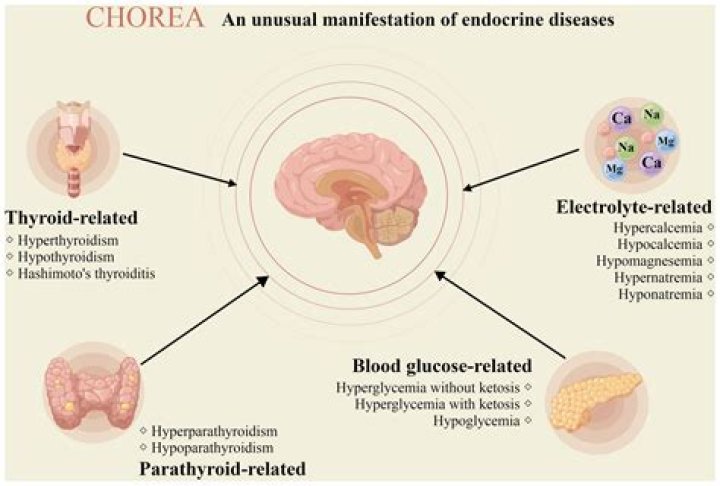 What is the disease chorea?