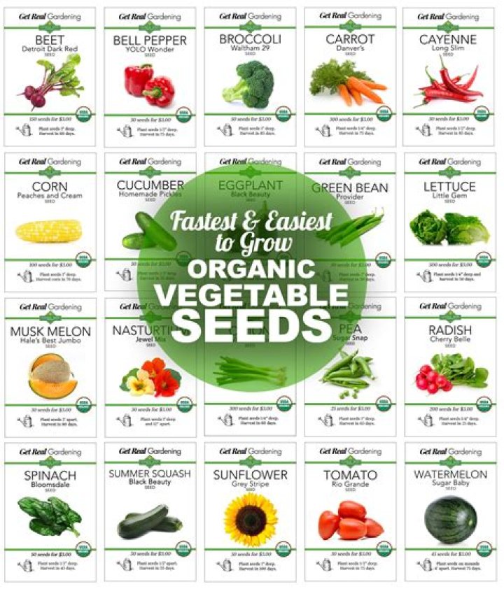 What is the easiest and fastest vegetable to grow?
