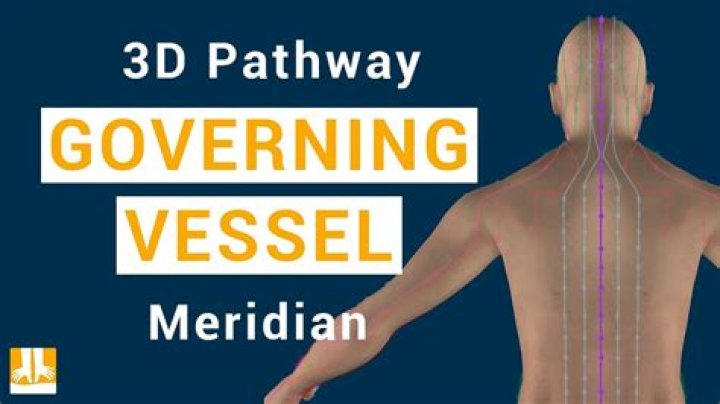 What is the governing vessel?