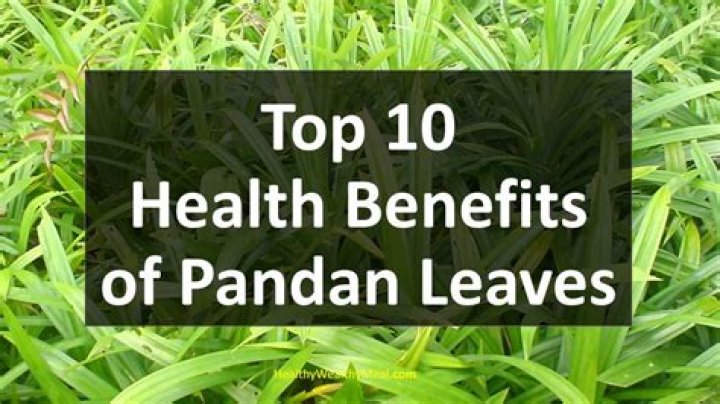 What is the health benefits of pandan leaves?