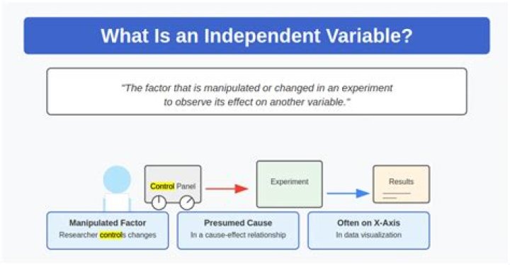 What is the independent variable tested in the yeast experiment?