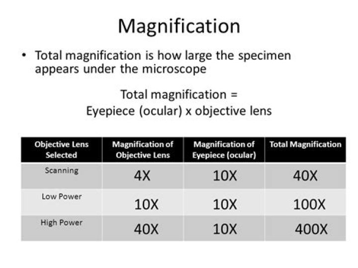 What is the magnification of the ocular lens?