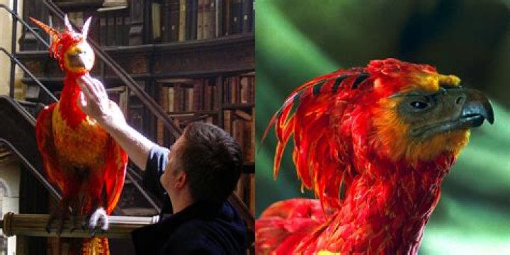 What is the meaning of Fawkes?