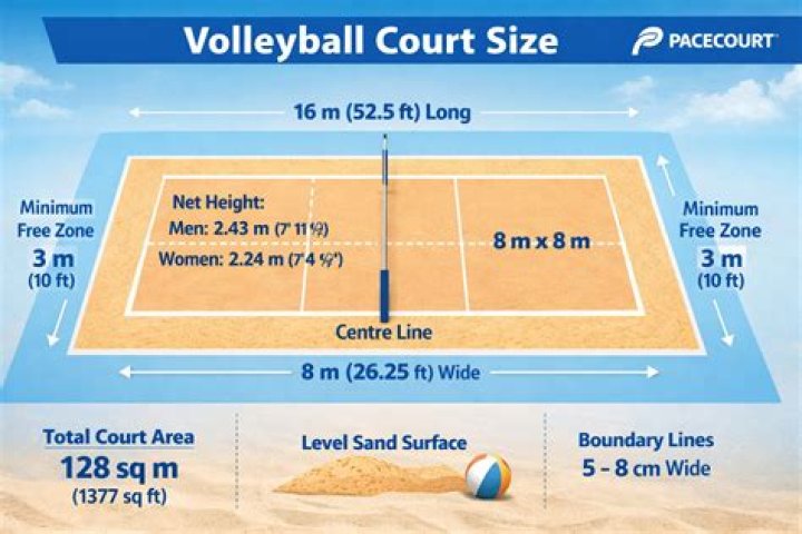 What is the official court size for volleyball?