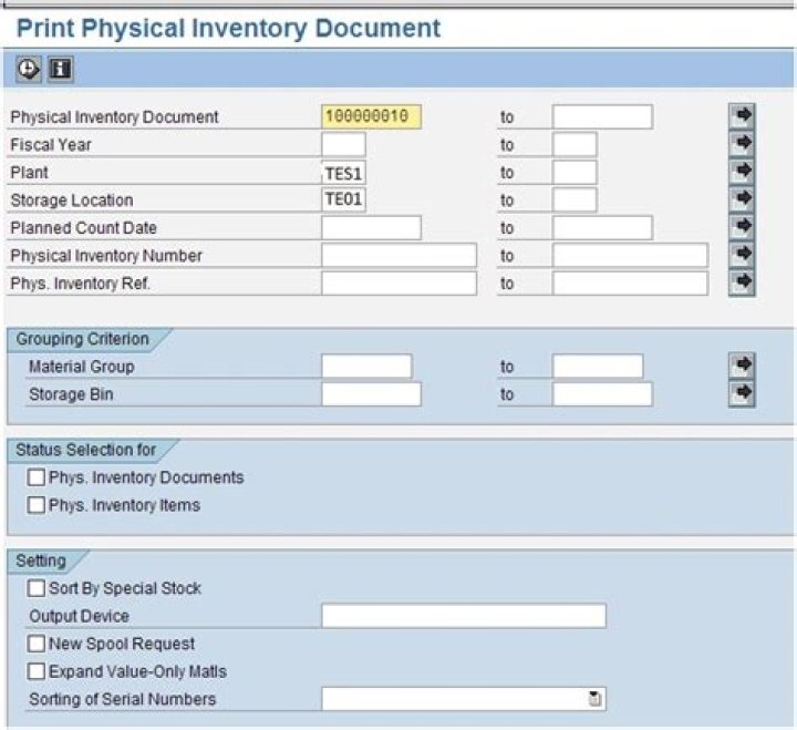What is the Print physical inventory document used for?