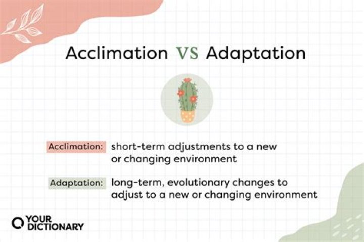 What is the process of acclimation?