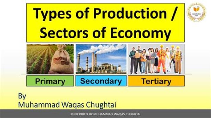 What is the production sector?
