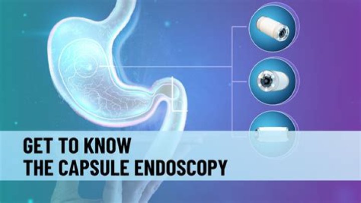 What is the purpose of a capsid?