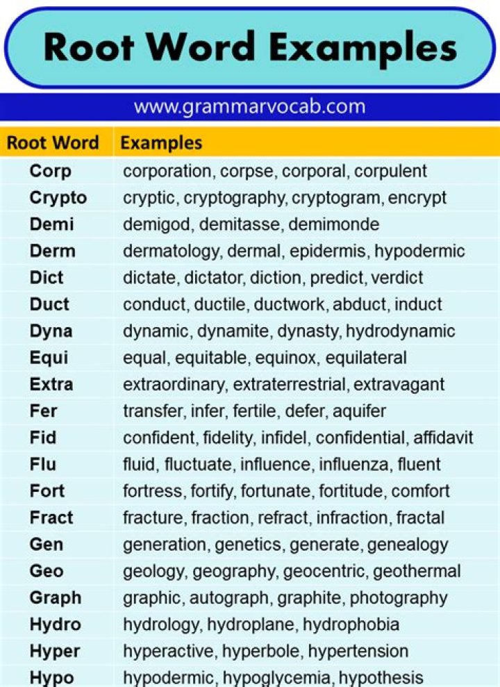 What is the root word of computer?