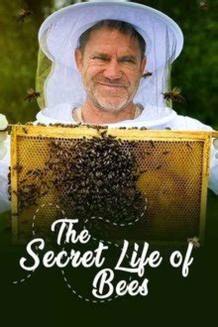 What is the setting of The Secret Life of Bees?