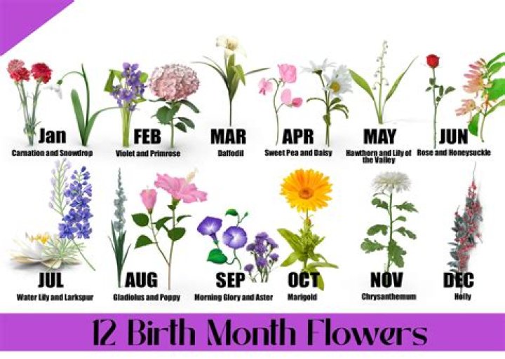 What is the significance of May 7th?