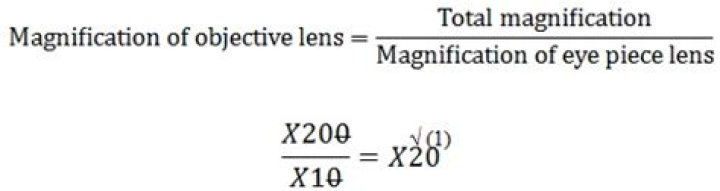 What is the total magnification with the following objective lenses in place?