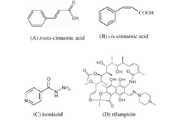 What is trans cinnamic acid soluble in?