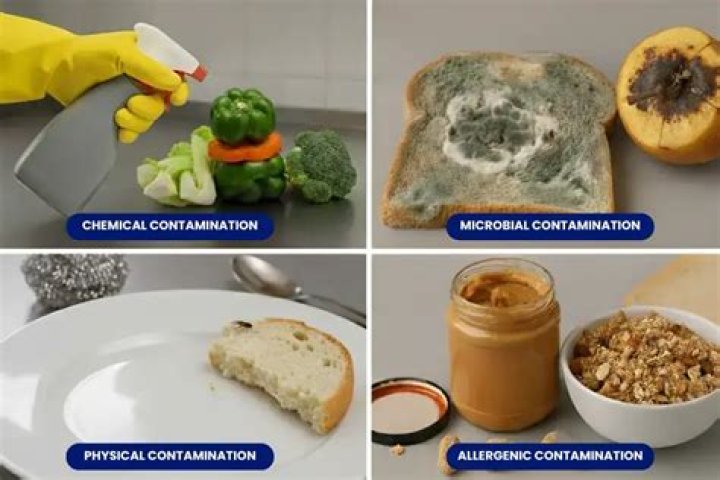 What kind of microorganisms can contaminate food?