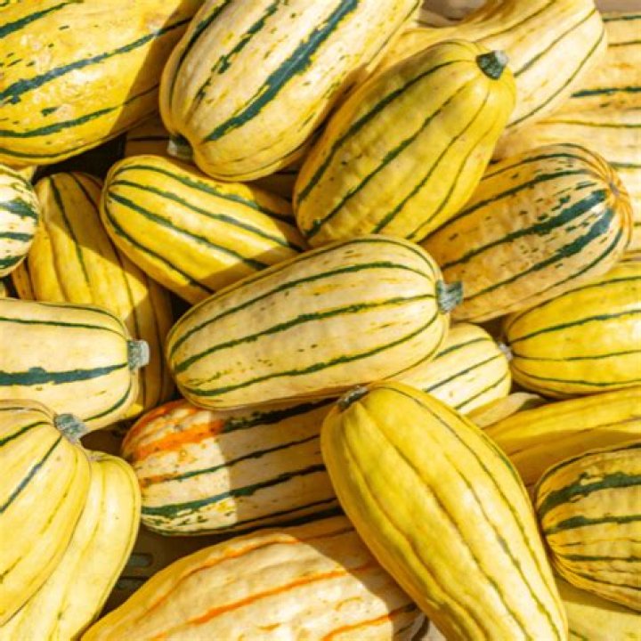 What kind of squash has stripes?