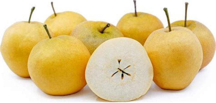 What month do Asian pears ripen?