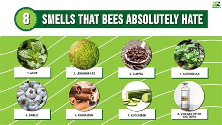 What smell will keep bees away?