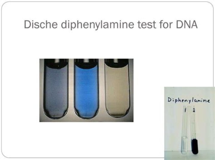 What substance does dische diphenylamine test for?