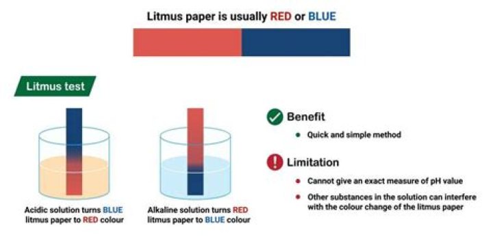 What substances turn red litmus paper to a blue color?