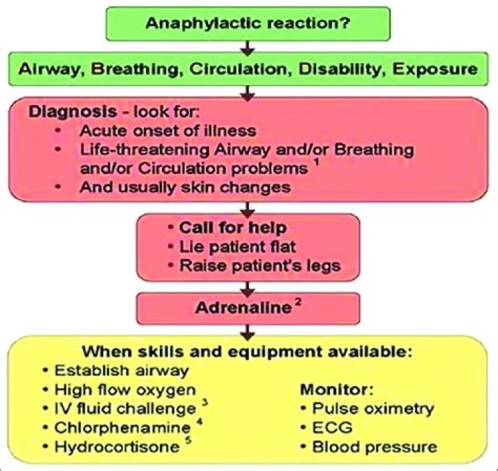 What to do if a patient has an anaphylactic reaction?