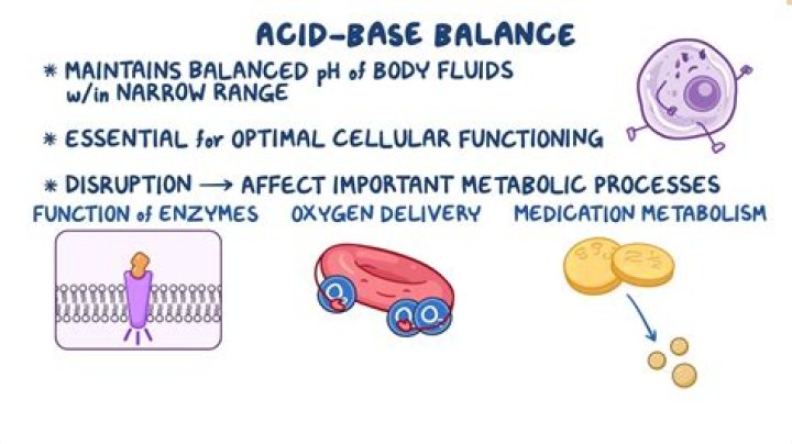 What two organs in the body serve as a compensatory function to maintain acid base balance?