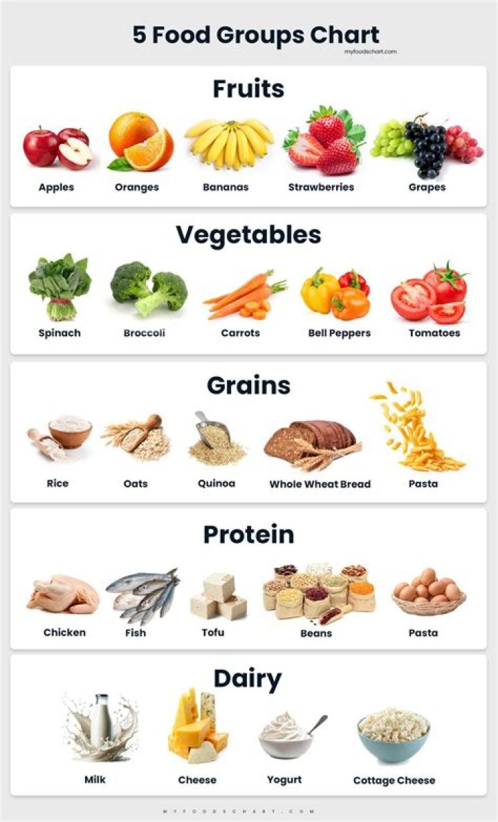 What type of foods are included in the vegetable food group?