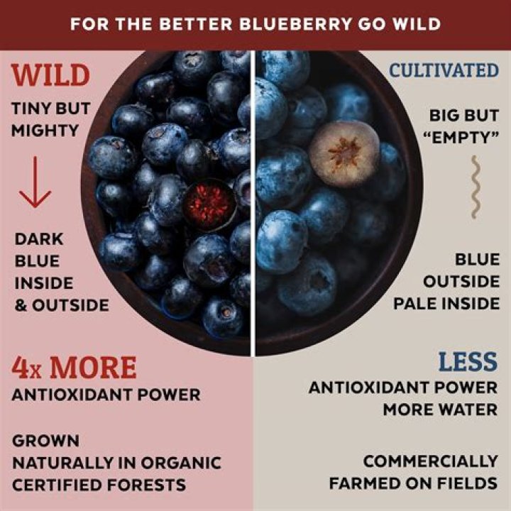 What vitamins are in wild blueberries?