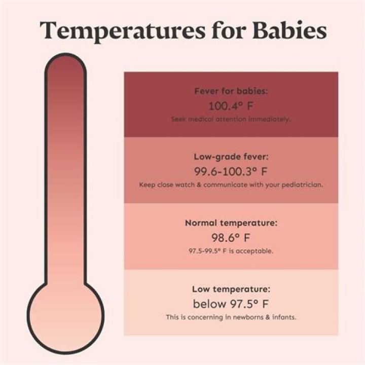 When can Newborns regulate their body temperature?
