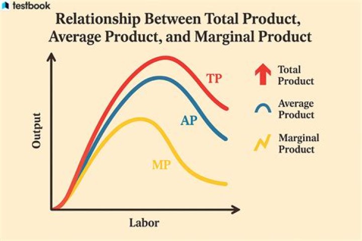 When the average product of labor is the same as the marginal product of labor?