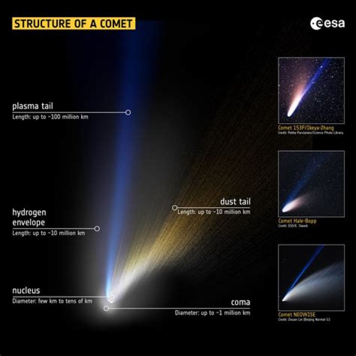 Where are most comets located?