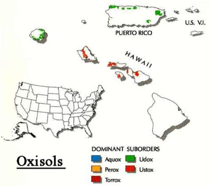 Where are oxisols found in the US?