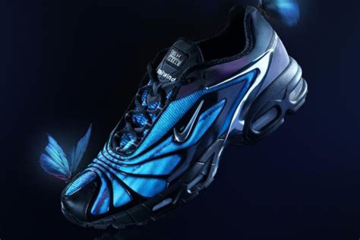 Where can I buy tailwind?