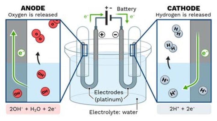 Where does oxidation take place in an electrolytic cell?