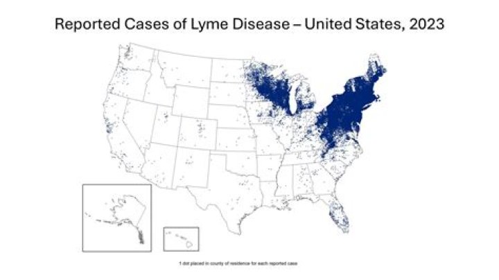 Where is Lyme disease most commonly found?