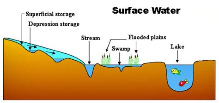 Where is surface water found?
