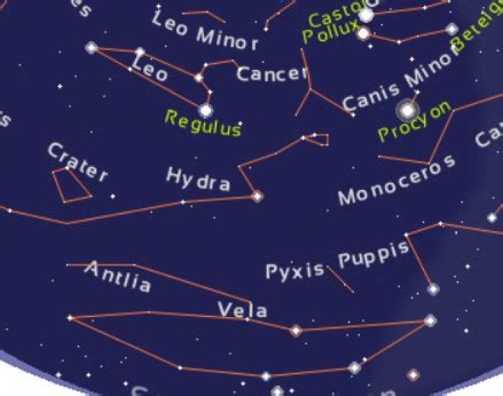 Where is the constellation Vela located?