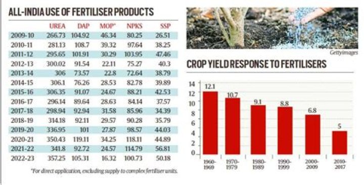 Which fertilizer is mostly consumed in India?