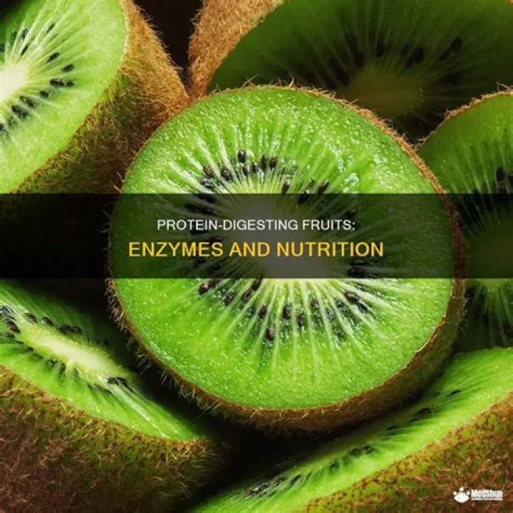 Which fruits contain enzymes that break down proteins?