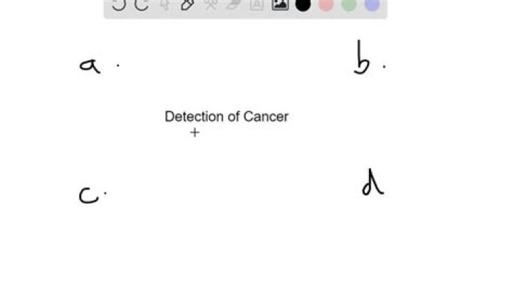 Which of the following imaging tests uses a radioactive substance known as a tracer?